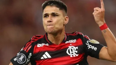 Luiz Araújo