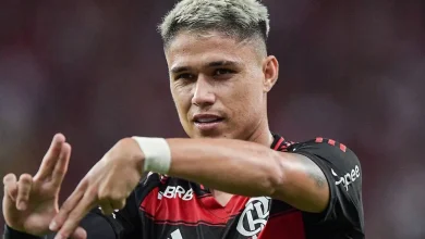 Luiz Araújo